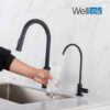 Welltek - Grifo Dispensador De Agua Tarja, Cocina, Filtro, Bomba Negro